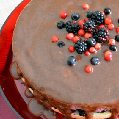 Tort cu mousse de fructe de padure si caramel